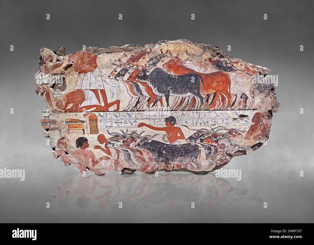 Wall painting tomb of nebamun hi-res stock photography and images ...