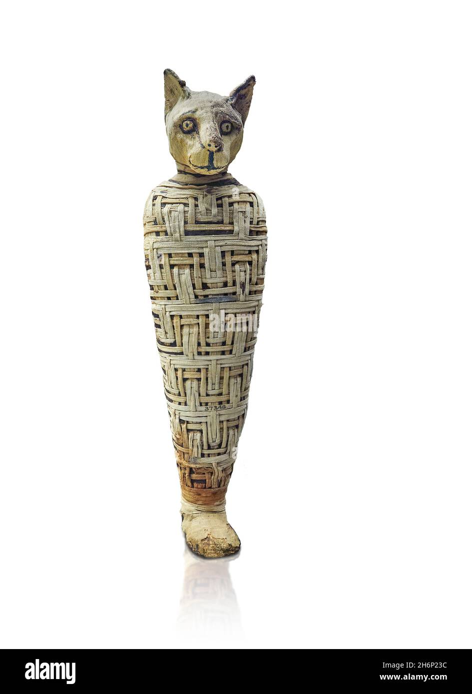 Roman Egyptian cat mummy, after 30 BC Roman Period, Abydos.   British Museum EA37348. Mummy of cat; linen wrappings arranged in geometric pattern. Len Stock Photo