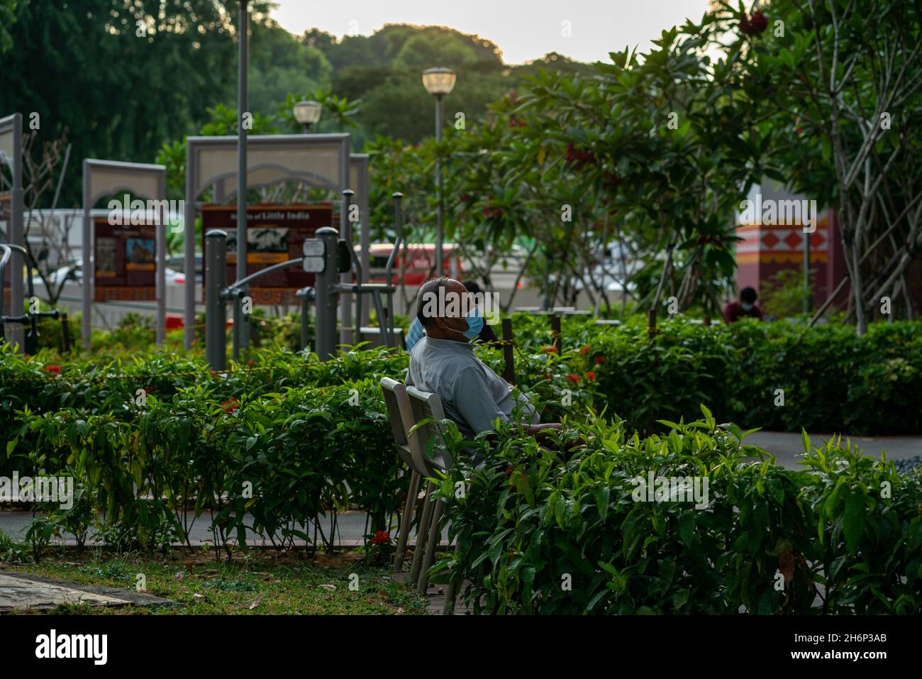 Senior citizen resting at a public park in Little India Stock Photo