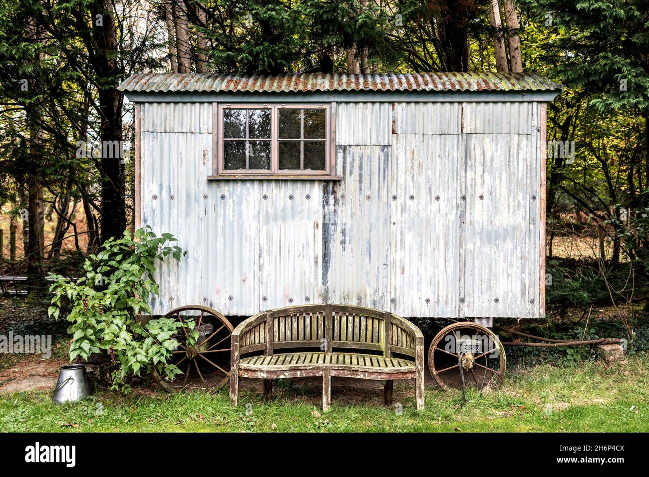 Metal Garden Shed In The New Forest Hampshire UK Stock Photo