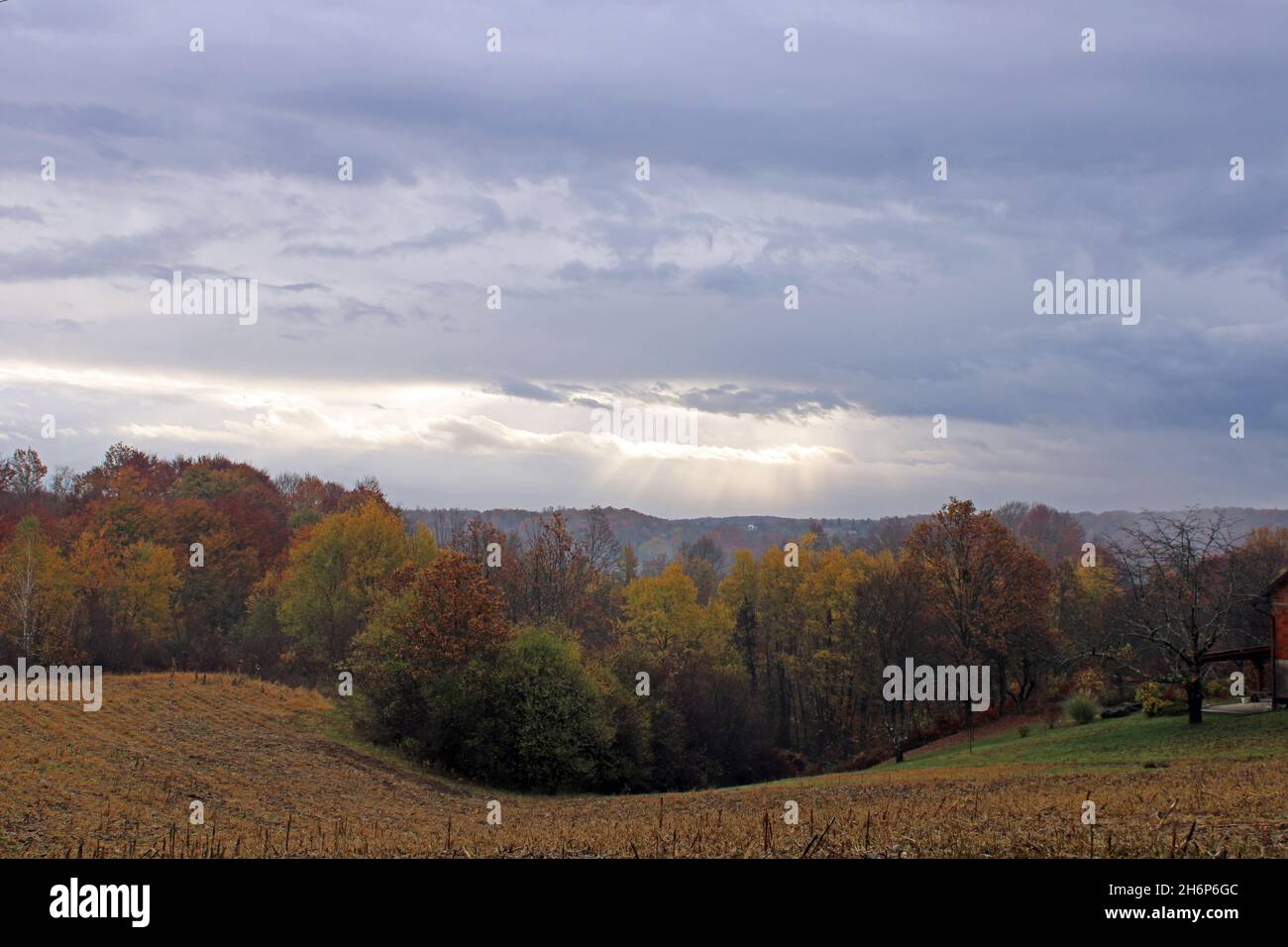 Fields, meadows, vegetation and  forests by autumn, countryside near Zagreb, Croatia Stock Photo