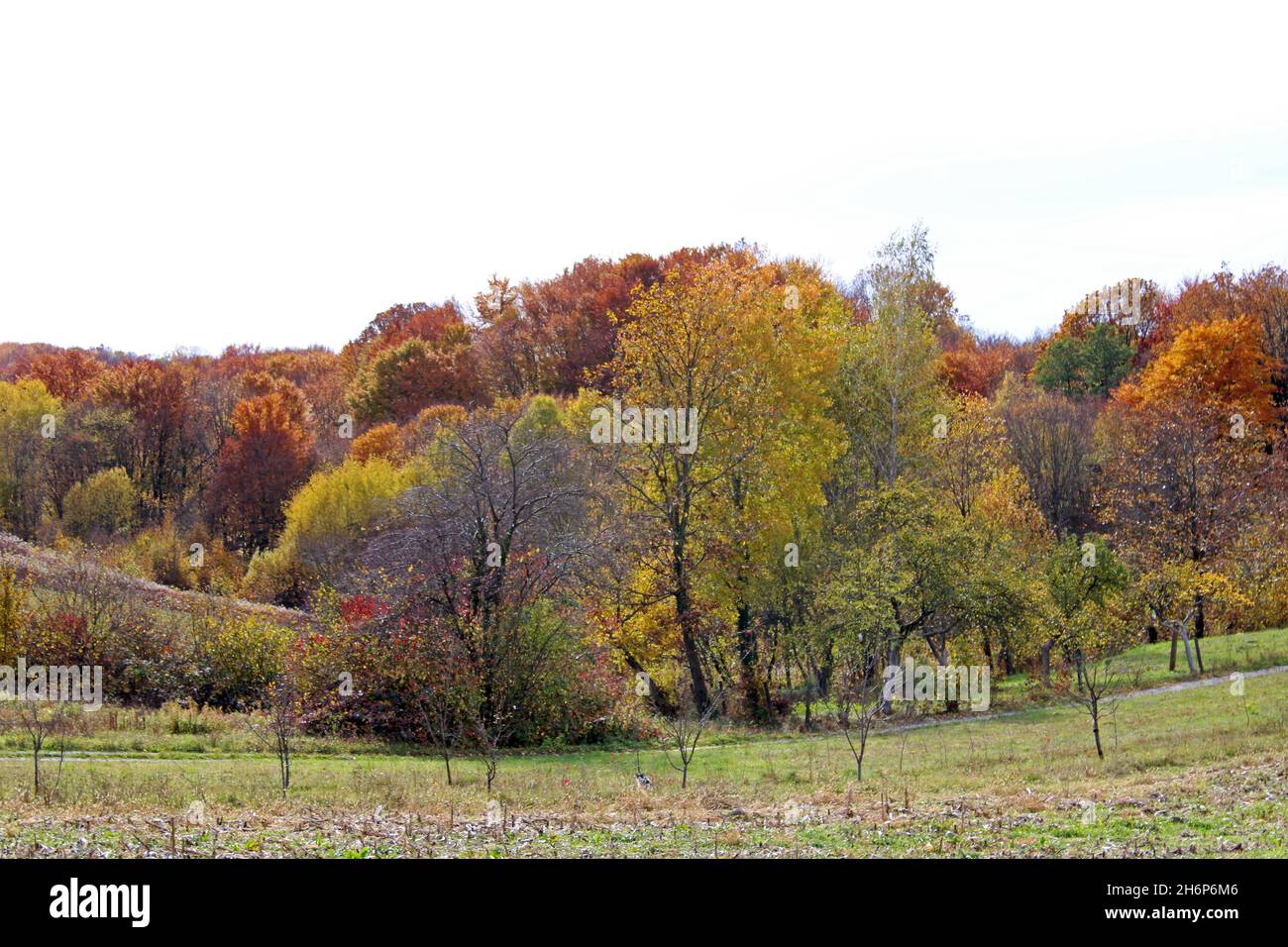 Fields, meadows, vegetation and  forests by autumn, countryside near Zagreb, Croatia Stock Photo