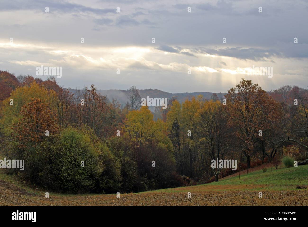 Fields, meadows, vegetation and  forests by autumn, countryside near Zagreb, Croatia Stock Photo