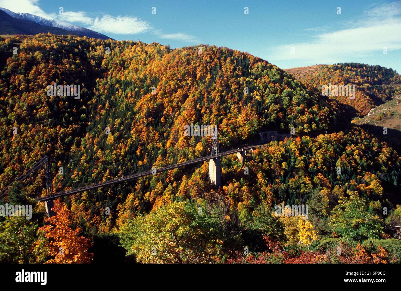 FRANCE. PYRENEES-ORIENTALES (66) THE CATALAN PYRENEES NATURAL REGIONAL PARK. THE TET VALLEY. THE YELLOW TRAIN ON THE GISCLARD BRIDGE IN AUTUMN (LINKIN Stock Photo