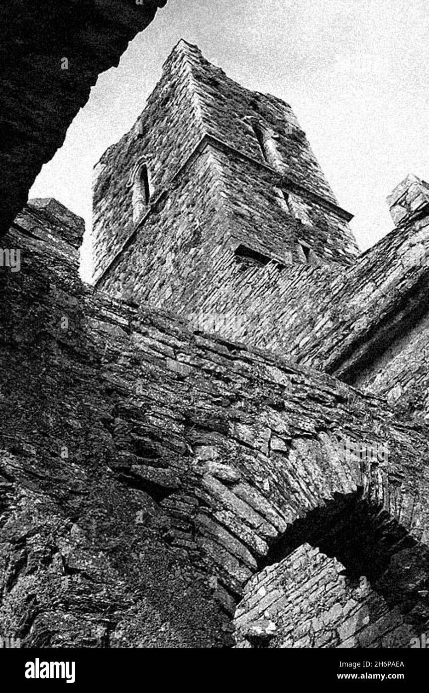 Ruins of Timoleague Abbey Stock Photo