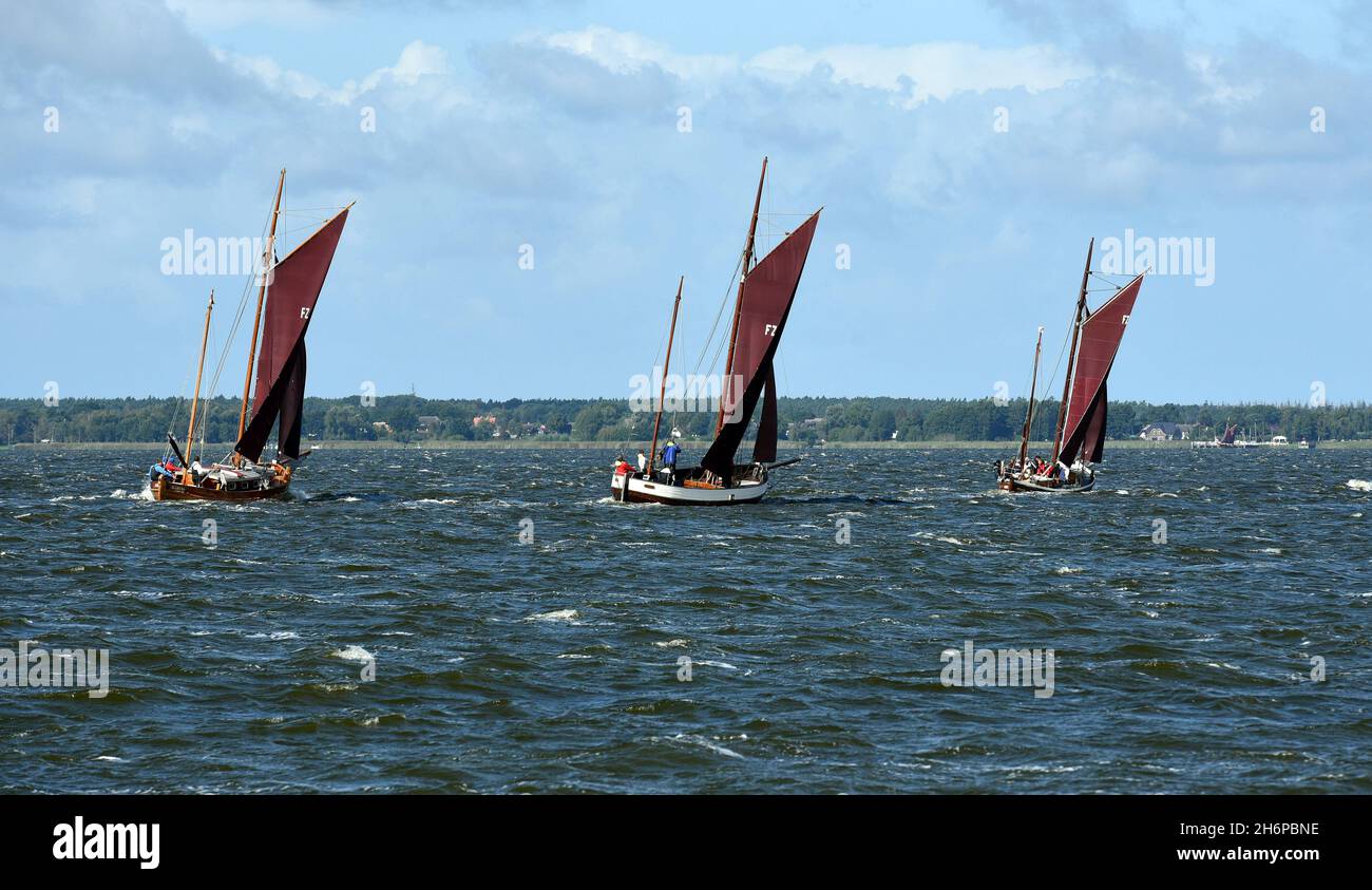 Zeesboot Regatten finden jaehrlich in der  Boddenlandschaft in Mecklenburg-Vorpommern statt. Zeesboot regattas take place annually in the lagoon lands Stock Photo