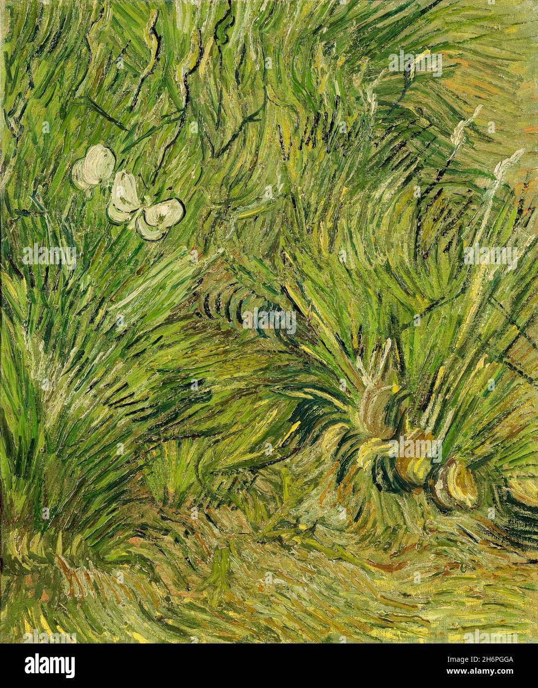 Vincent van Gogh, Garden with Butterflies, painting, 1890 Stock Photo