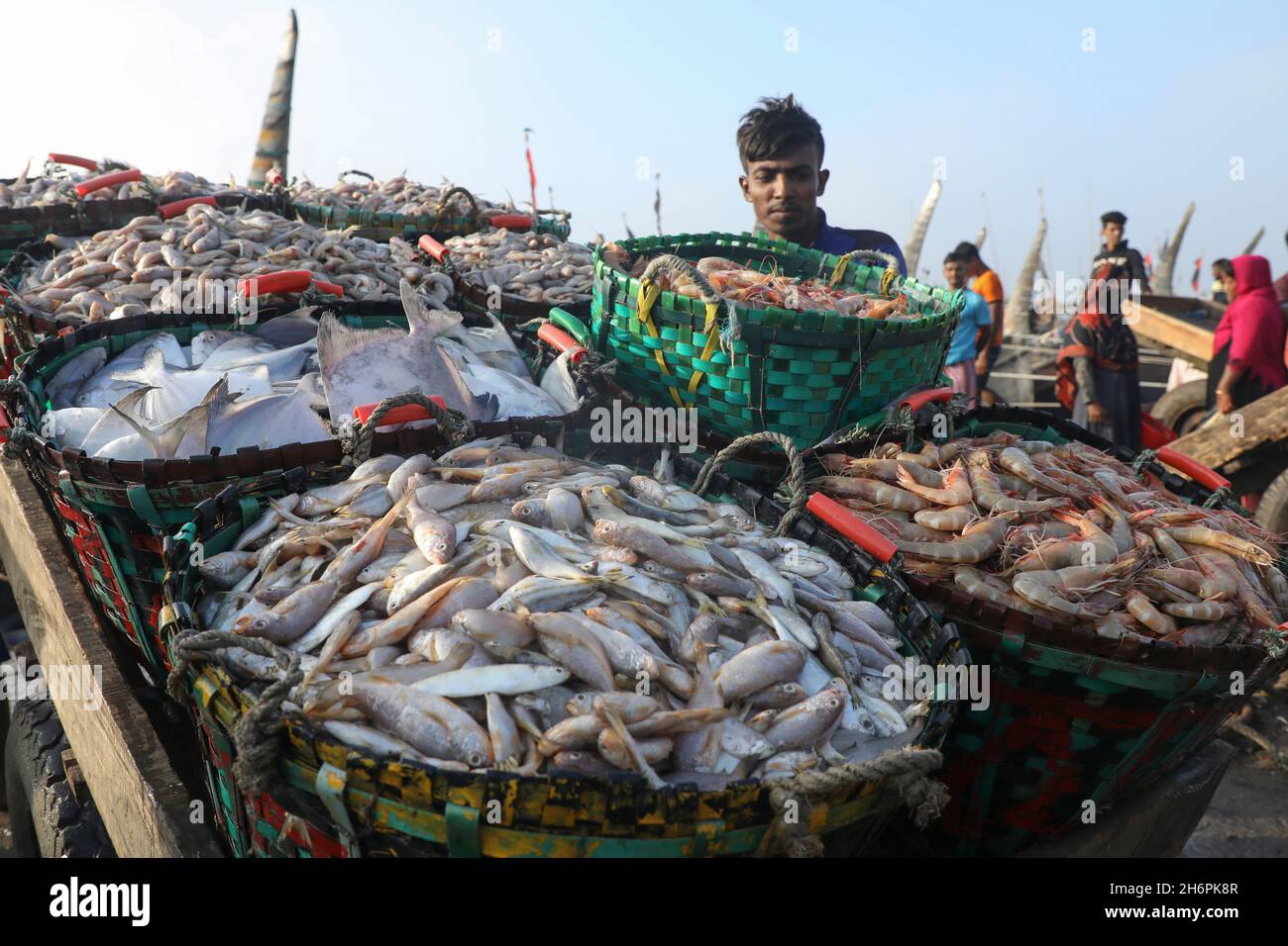 Chittagong, Bangladesh. 17th Nov, 2021. A vendors sells fish at Fishery