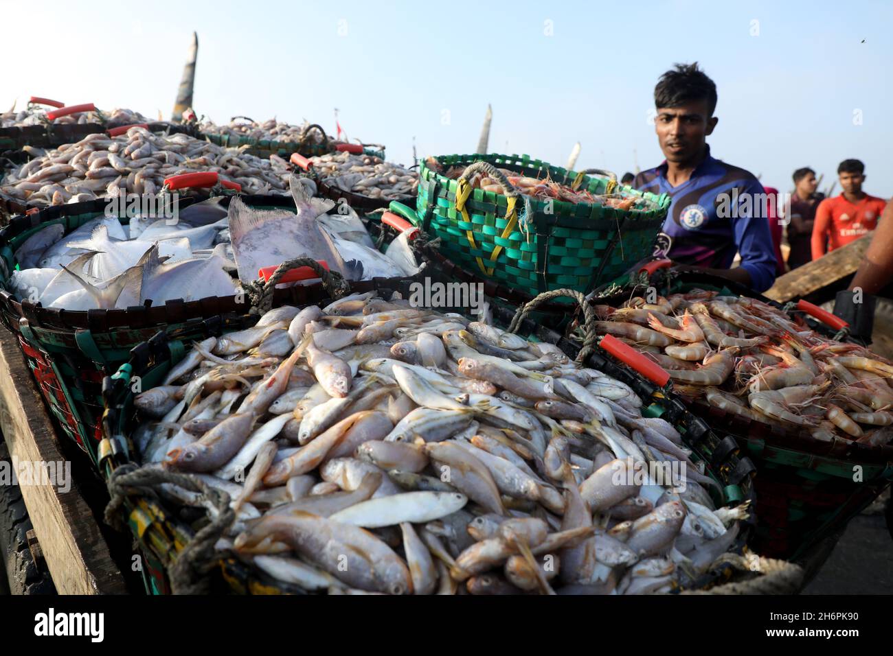 Chittagong, Bangladesh. 17th Nov, 2021. A vendors sells fish at Fishery Ghat market of the