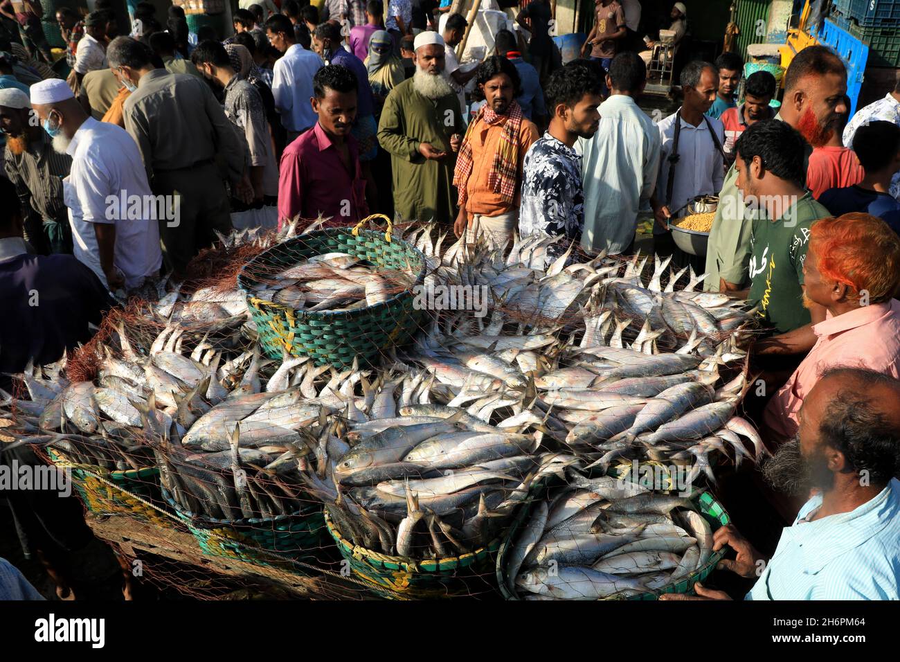Hilsa fish in bangladesh hi-res stock photography and images - Page 3 -  Alamy