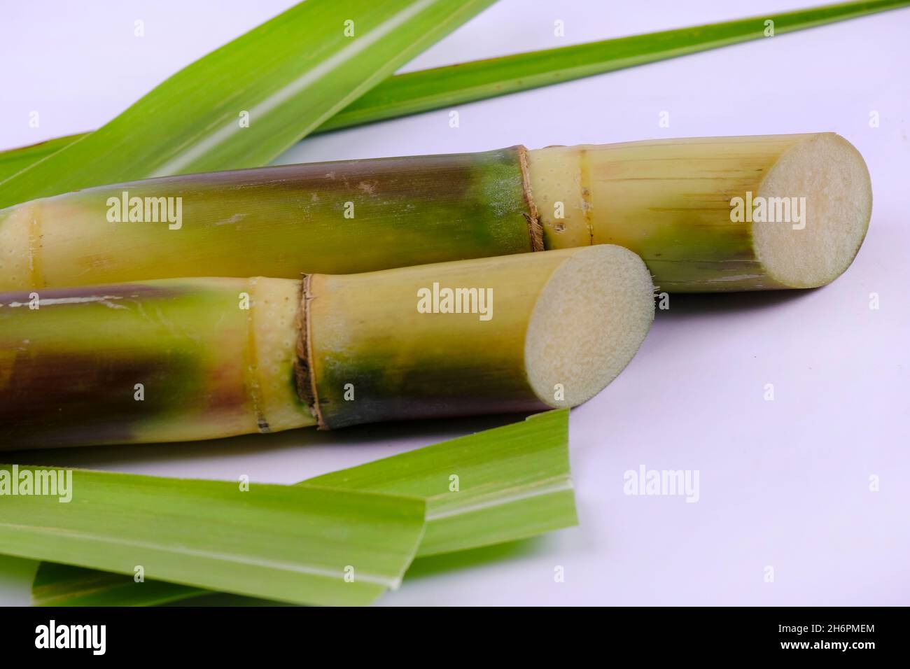 Indian organic sugar cane to make sugar, jaggery, juice, delicious