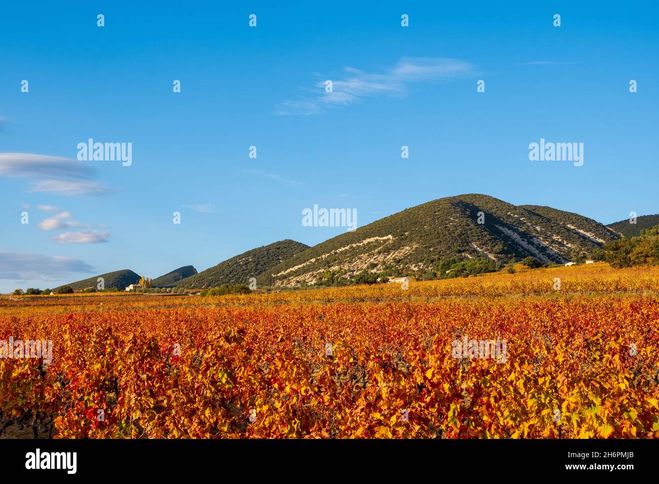 Cotes de Rhone vineyards meet the hills of Parc Naturel Régional des Baronnies Provençales, Stock Photo
