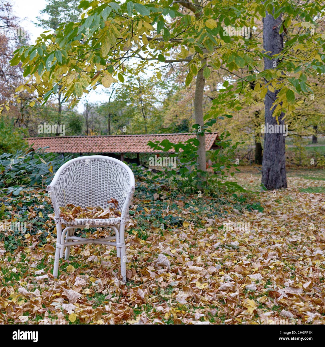 Gartenstuhl im Herbst, bunte Blätter – garden chair in autumn, colorful leaves Stock Photo