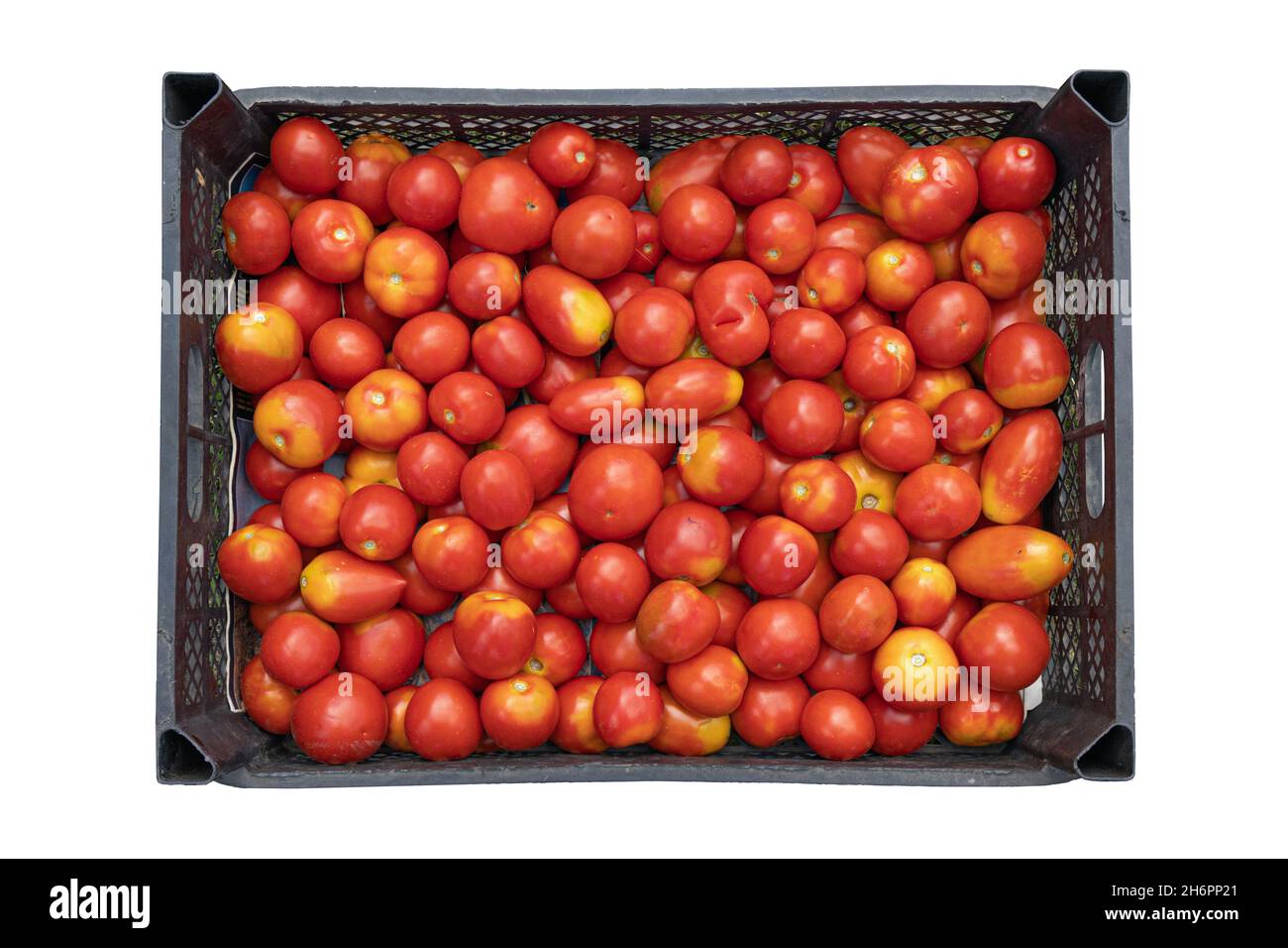 red tomatoes in plastic crate isolated on white background, fresh tomatoes in black box, vegetables for vegetarian healthy eating, top view Stock Photo