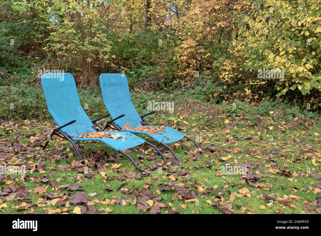 Liegestühle im Herbst, bunte Blätter – deck chairs in autumn, colorful leaves Stock Photo