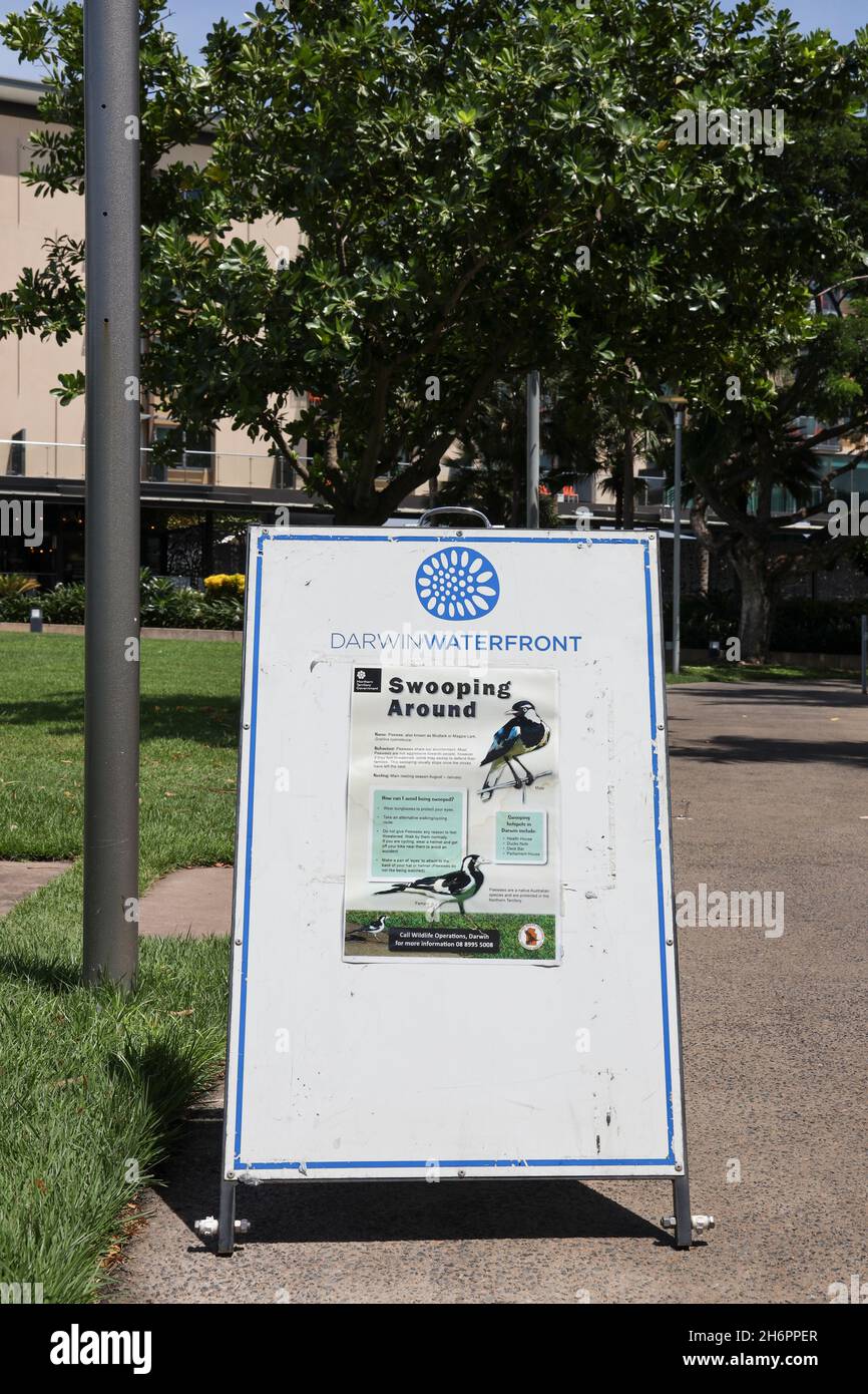 Sign warning of swooping magpies at the Darwin Waterfront , Northern Territory, Australia Stock Photo