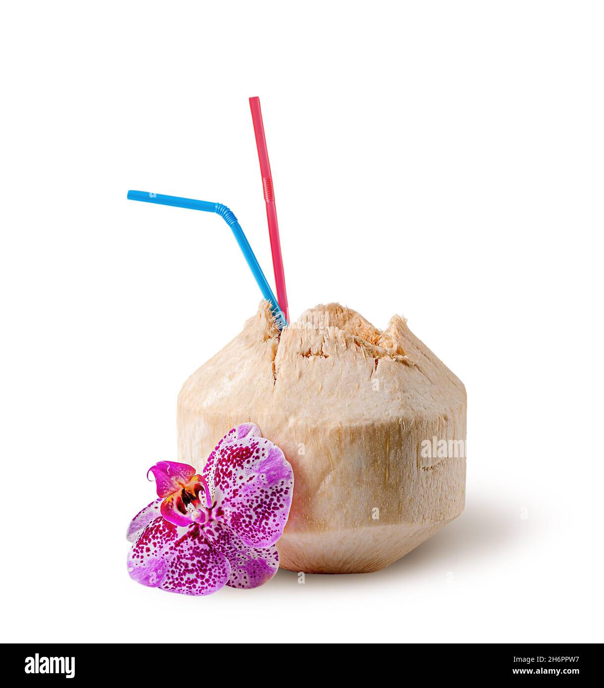 Fresh coconut water drink with orchid flower near Stock Photo
