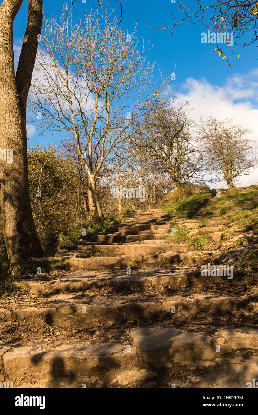 Looking up the steps in Dovedale, Derbyshire on a sunny Autumn day. Taken 4th Nov 2021. Stock Photo