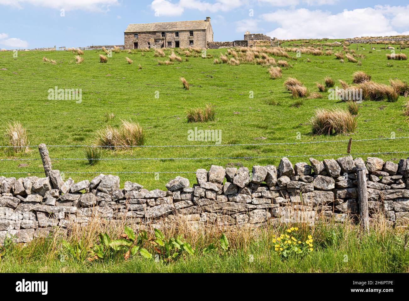 Old farm buildings on Carrshield Moor on the Pennines near Coalcleugh, Northumberland UK Stock Photo