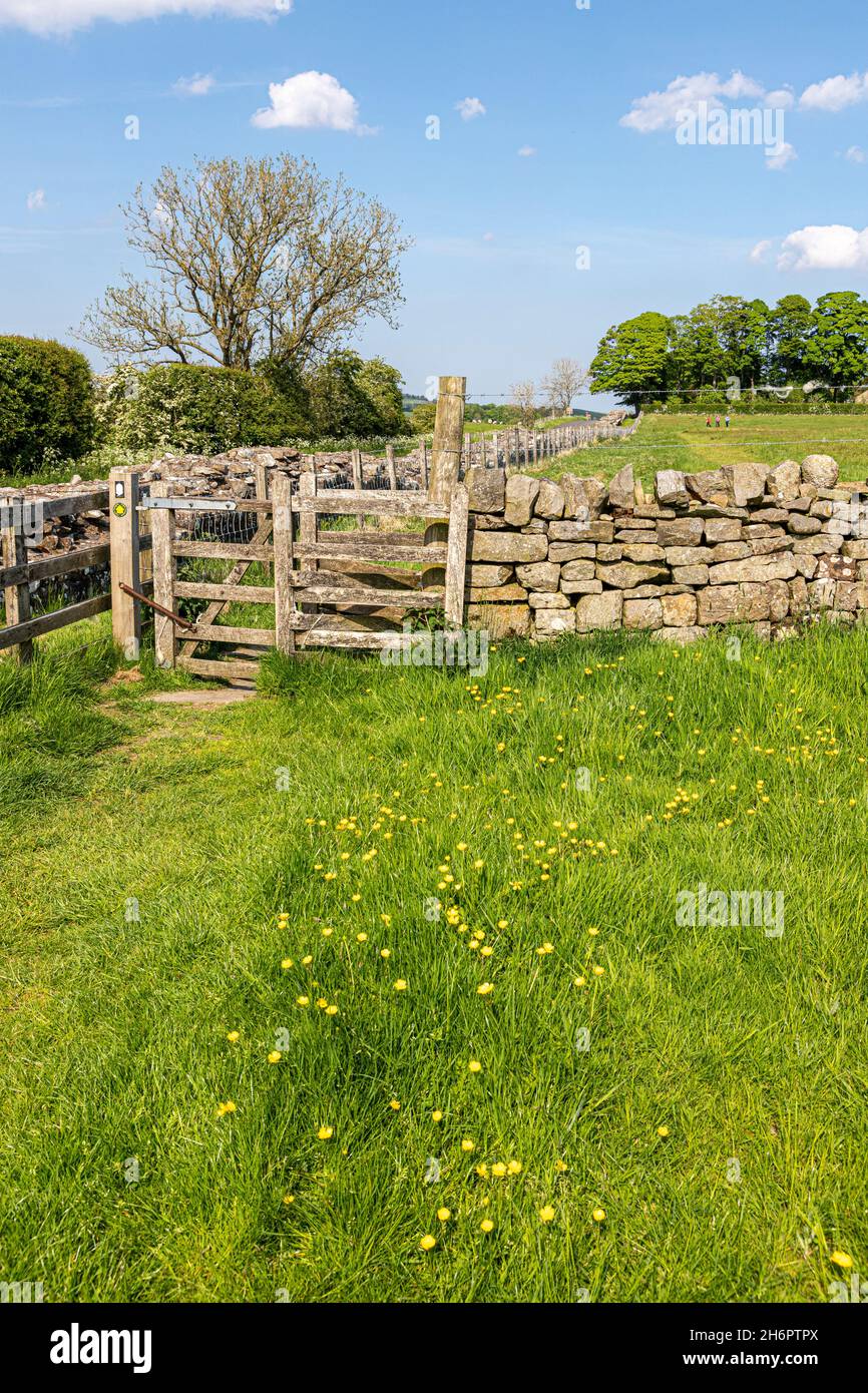 A gate on Hadrian’s Wall Path long distance footpath by Turret 49b near Birdoswald, Cumbria UK Stock Photo