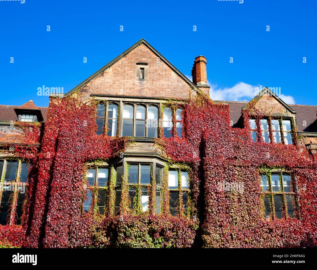 The ivycovered building of the School of Architecture at Newcastle