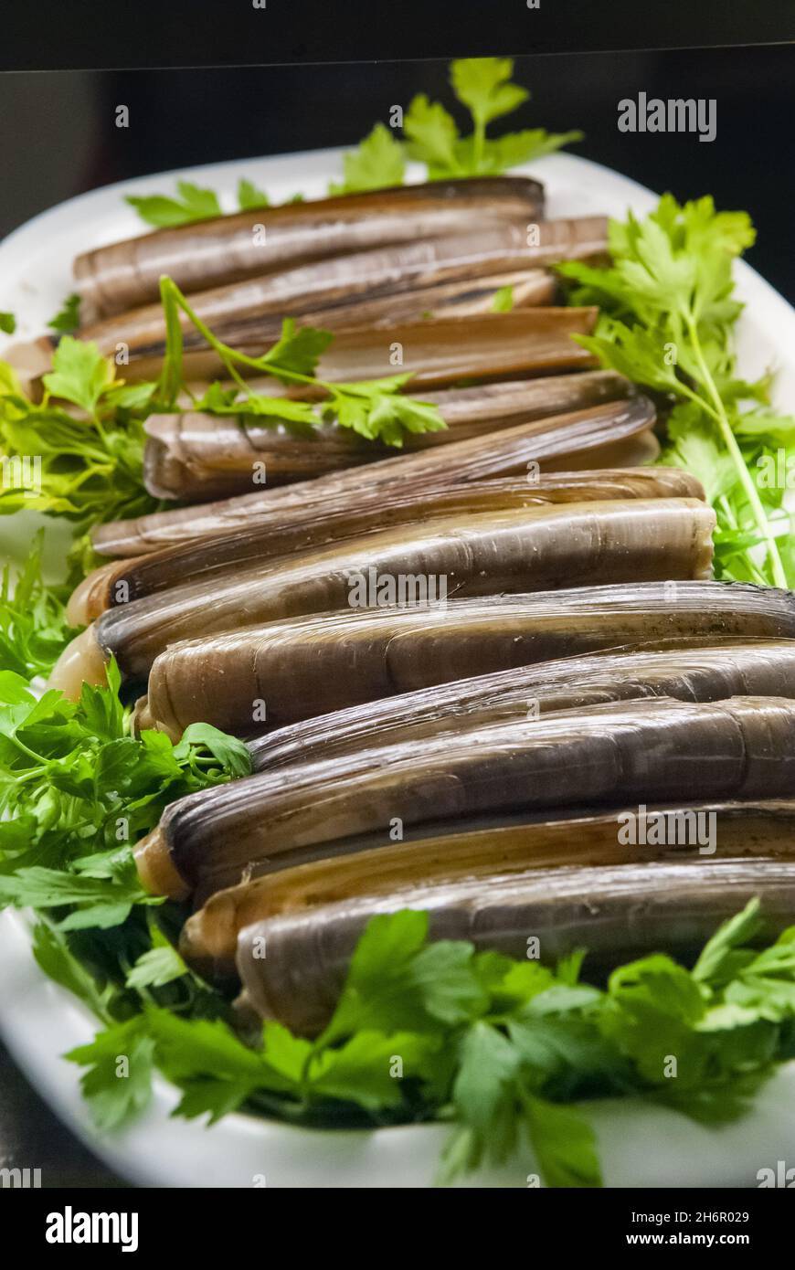 Pacific razor clams hi-res stock photography and images - Alamy