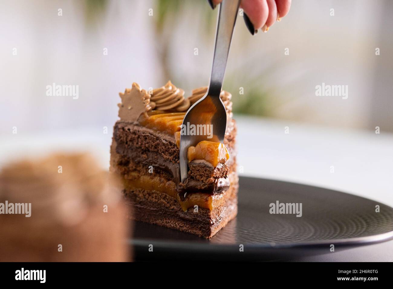 Delicious piece of cake on black plate. Stock Photo