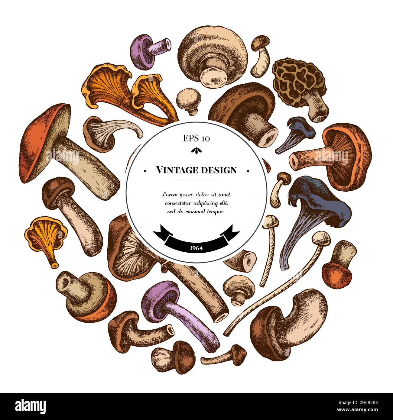 Round design with colored oyster mushroom, champignon, honey agaric