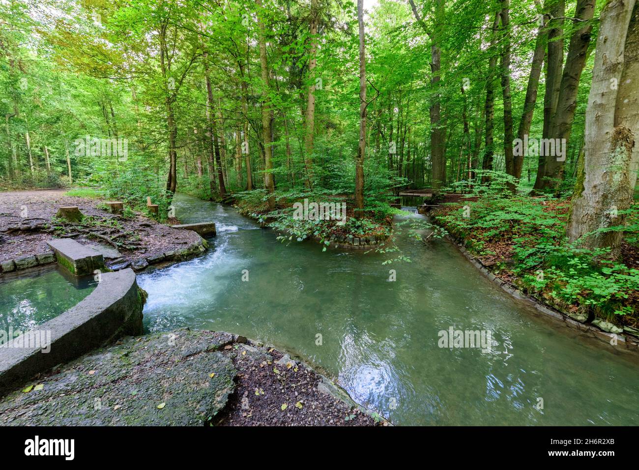 Water management site in the city forest of Augsburg Stock Photo Alamy