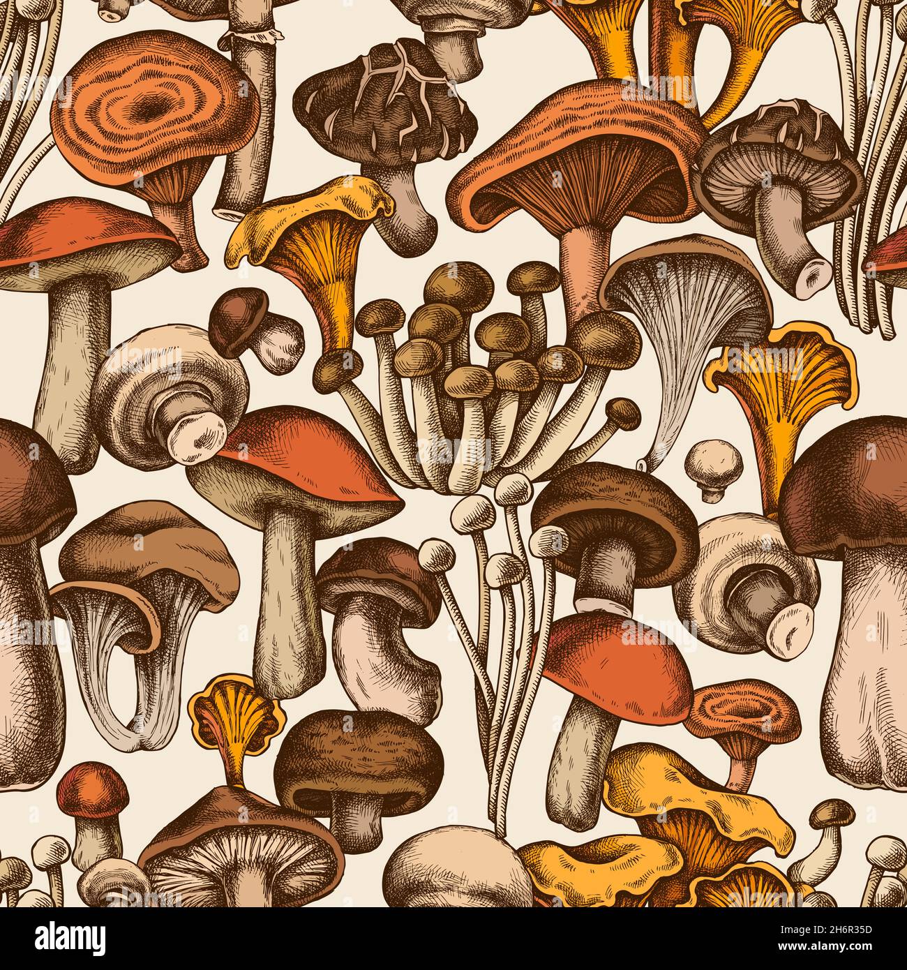 Seamless pattern with hand drawn colored oyster mushroom, champignon