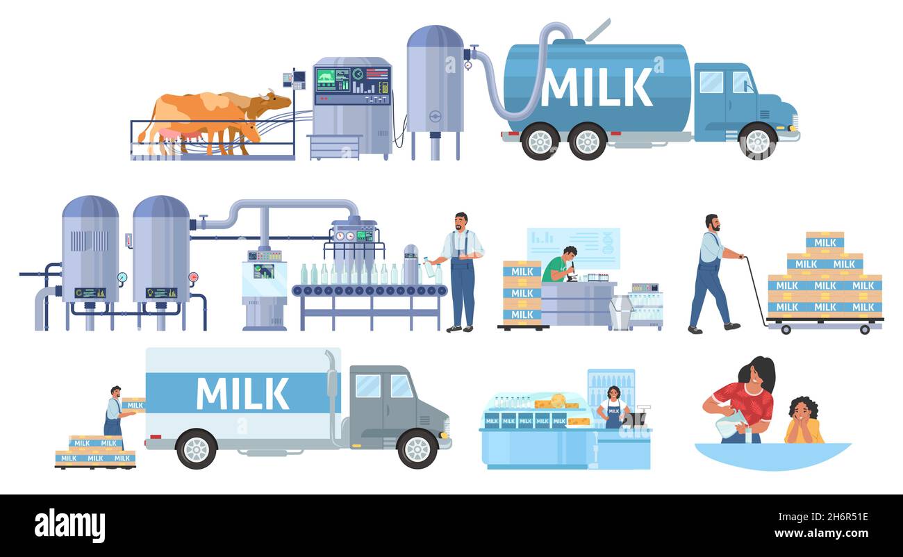 Milk production vector infographic. Cattle farming. Dairy factory processing line, distribution