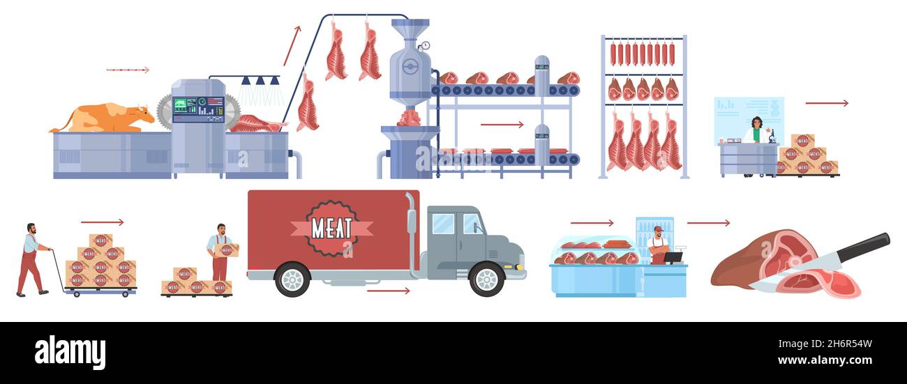 Cattle farming, beef production vector infographic. Meat factory processing line, distribution, sale. Food industry. Stock Vector