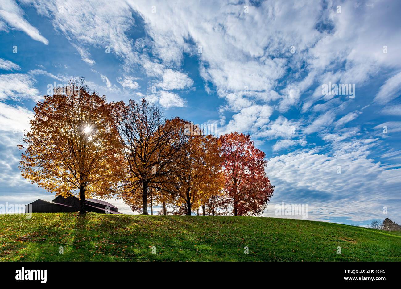 Darden towe memorial park hires stock photography and images Alamy