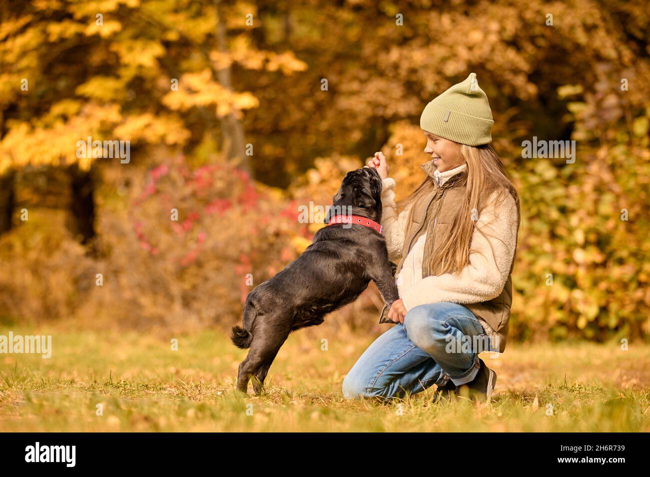 A cute girl playing with her dog in the park Stock Photo - Alamy
