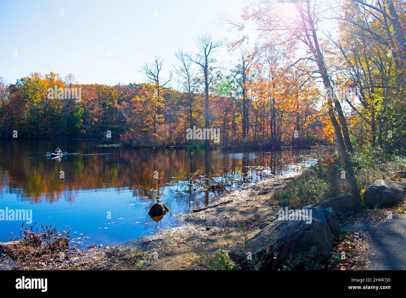 Luscious green foliage hires stock photography and images Alamy