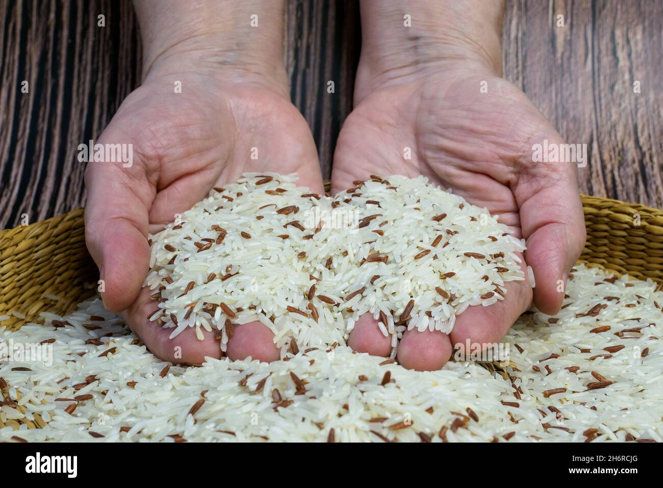 Brown bowl full of dry white jasmine rice grains. Hands full of fresh white jasmine rice grains