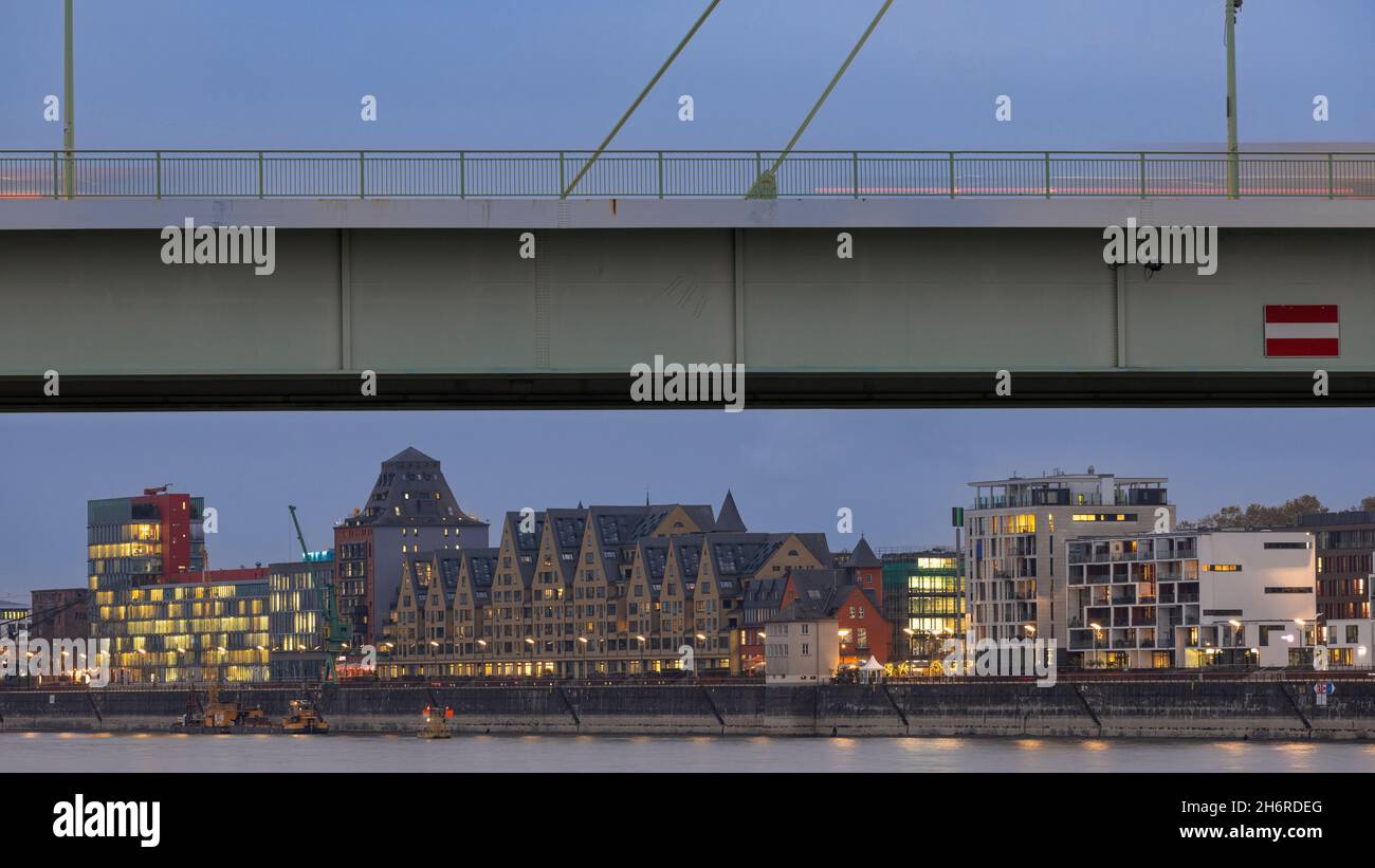 Cologne urban skyline above Rhine river with illuminated buildings ...