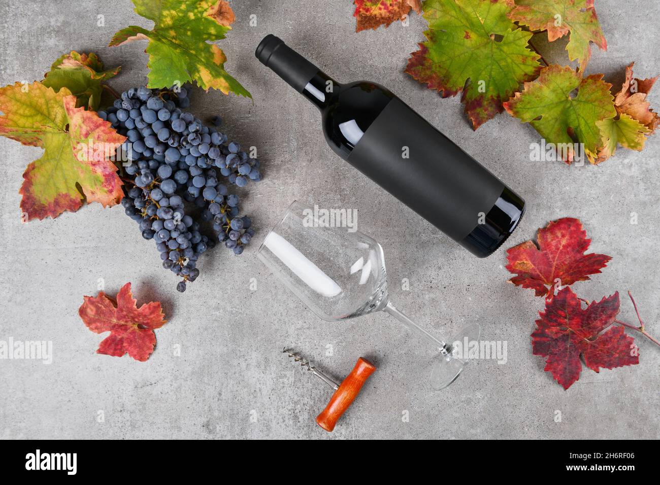 Red wine bottle with black label mockup with bunch of grape, green and red fall grape's leaves on gray background Stock Photo