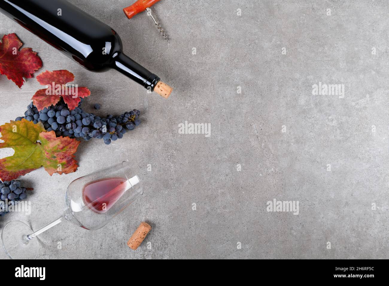 Red wine bottle with bunch of grape, fall grape's leaves on gray background, top view Stock Photo