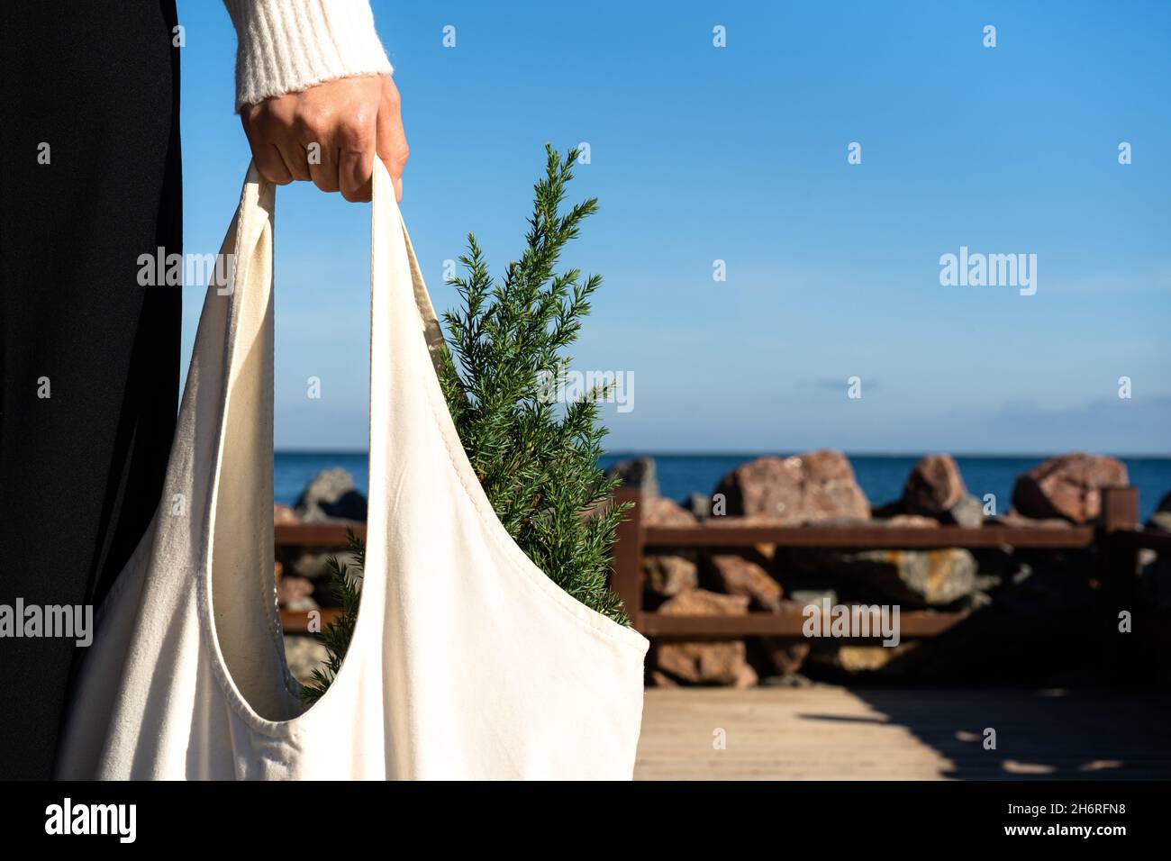 Canvas bag with a small Christmas tree in the girl's hand against the background of the sea. Christmas mindful shopping concept.  Juniperus chinensis Stock Photo