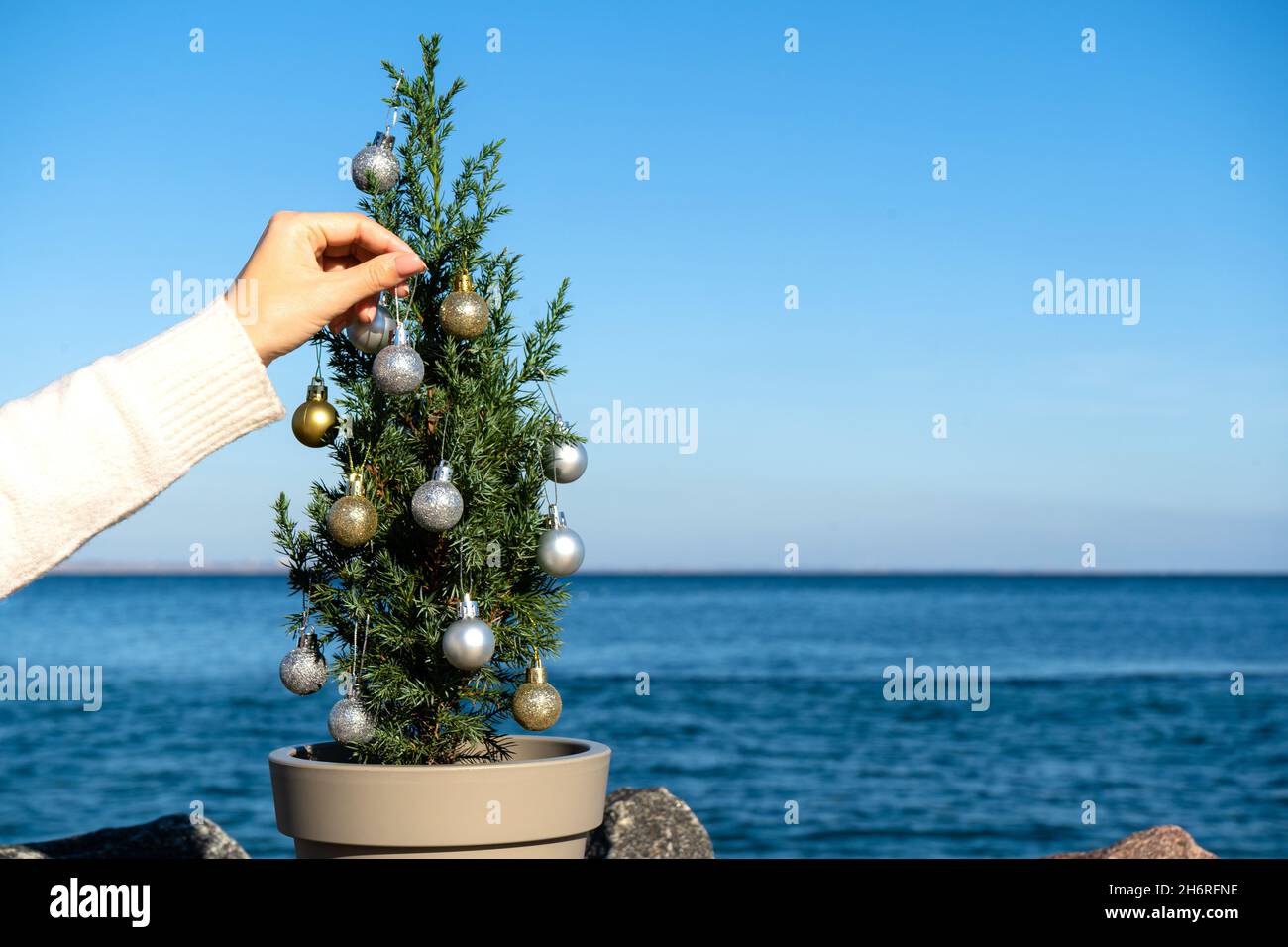 Small Chinese tree decorated with Christmas balls on granite stones by the sea.  Juniperus chinensis Stricta. Copy space Stock Photo