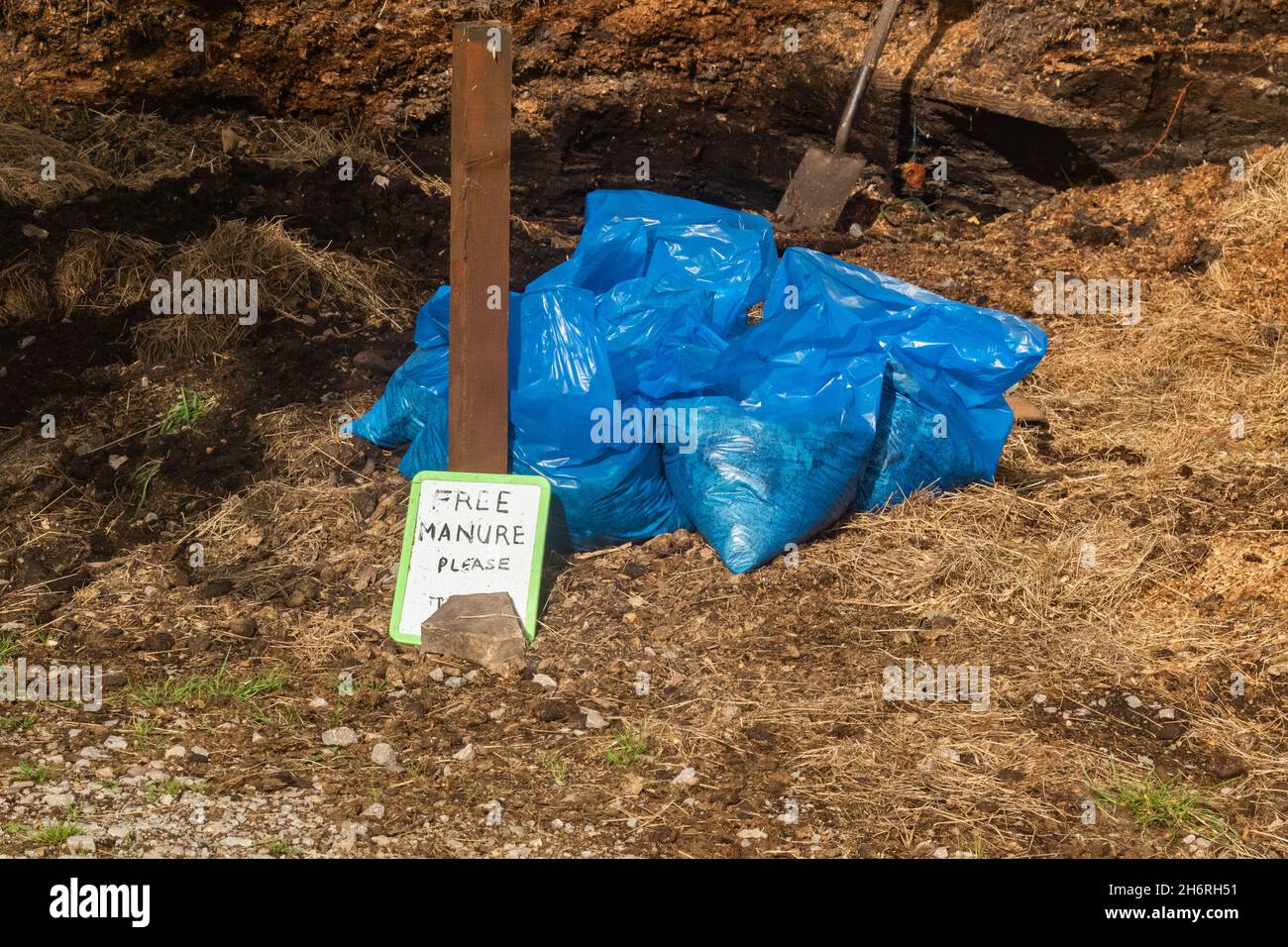A pile of manure next to stables. The horse owner has manure bagged up to give away to local gardeners. Stock Photo