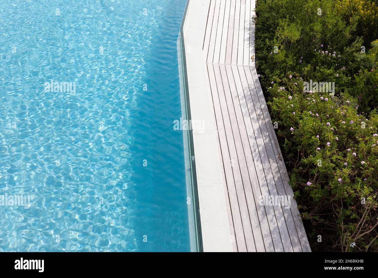 Aerial view of a swimming pool with a paved edge and plants in a garden. Stock Photo