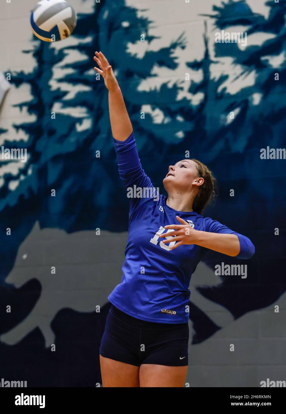 Volleyball action with Kimberley vs SugarSalem at the Idaho State