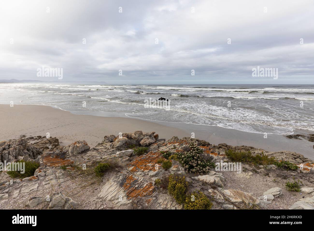 The jagged rocks and coastline of the Atlantic coast at Grotto Beach, a wide beach near Hermanus. Stock Photo
