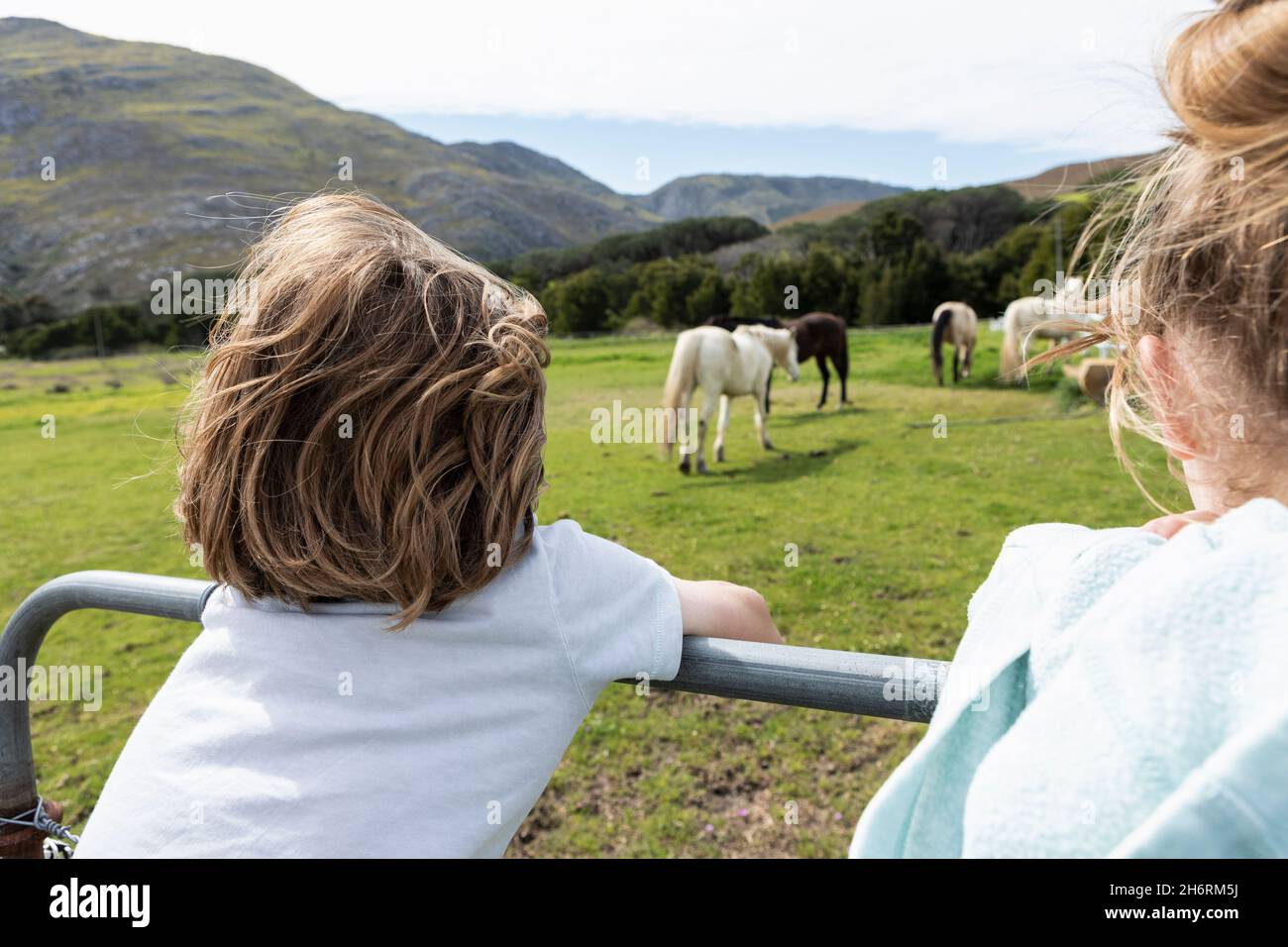 Eight year old boy leaning on a fence, watching horses in a field Stock Photo