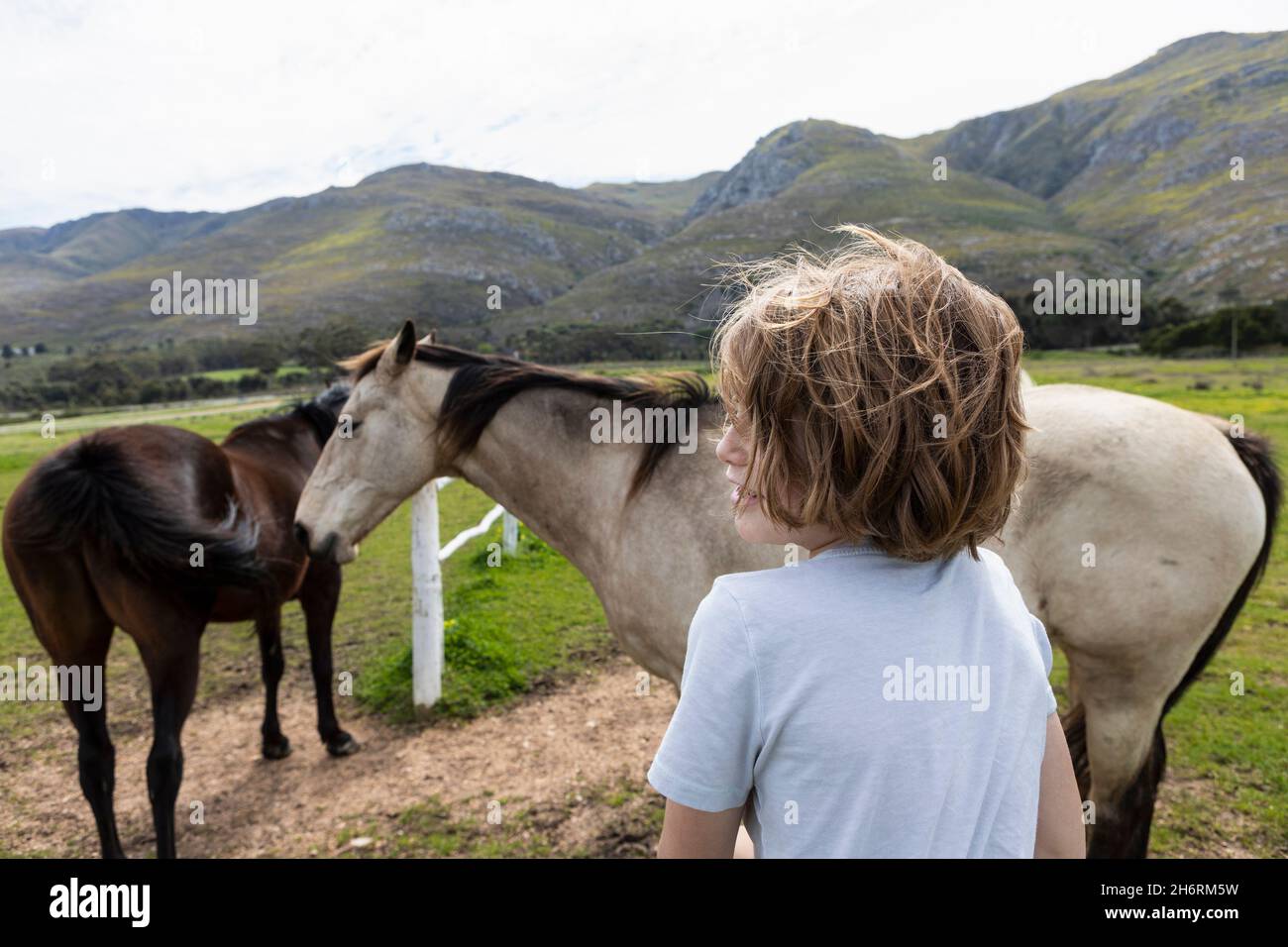 Eight year old boy leaning on a fence, looking at two horses in a field Stock Photo