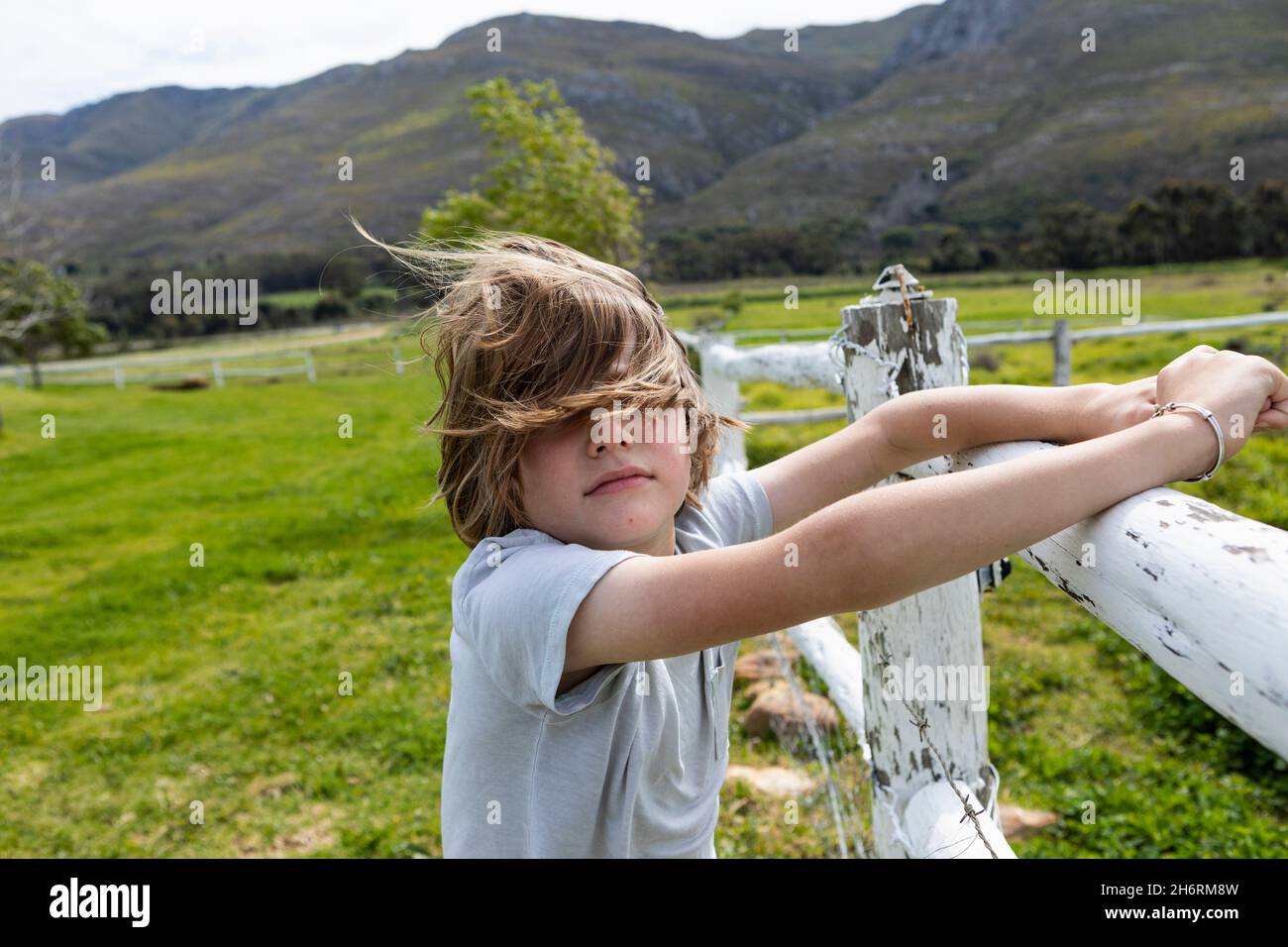 Eight year old boy leaning on a fence, looking at horses in a field Stock Photo