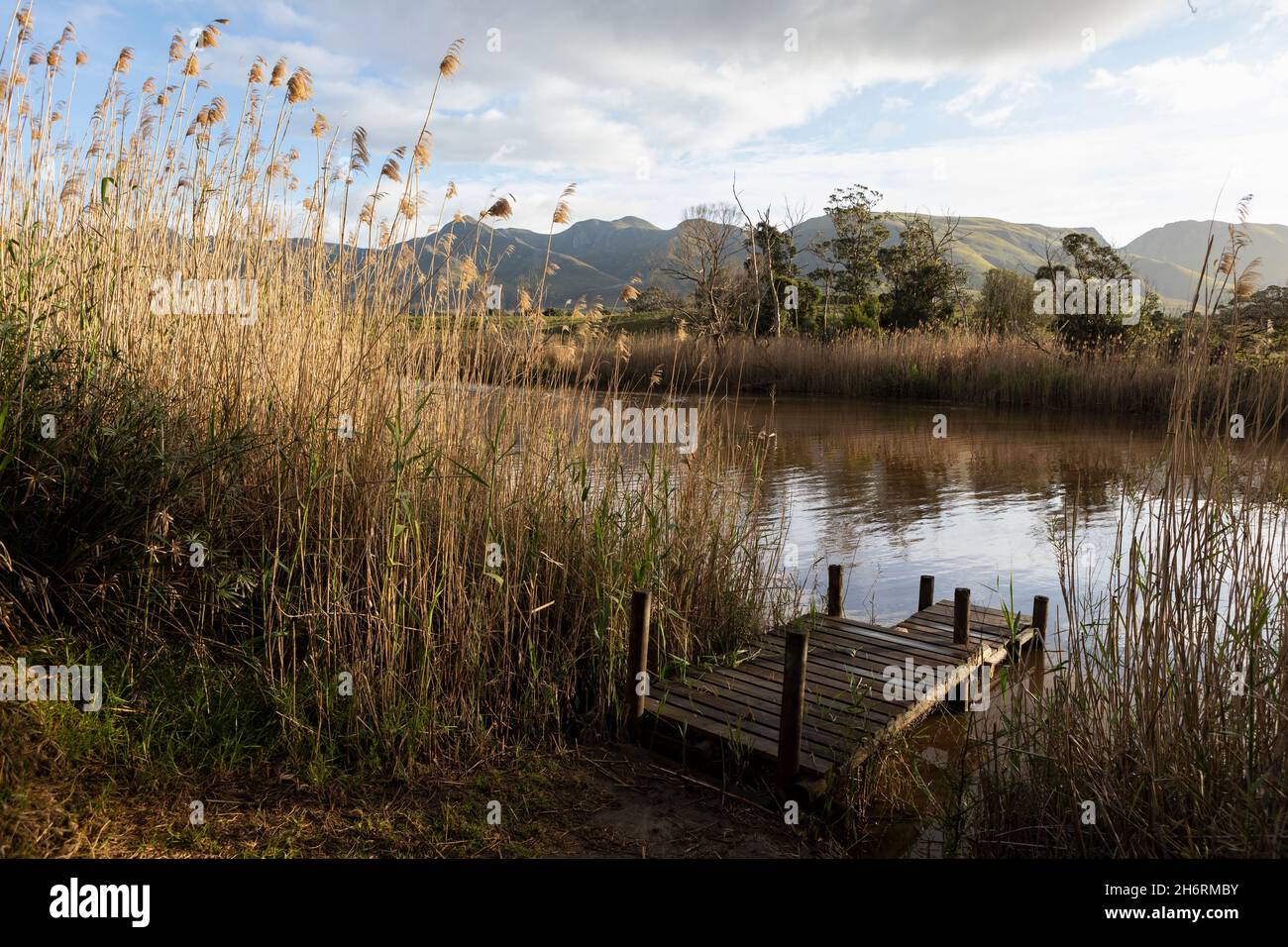 A wooden jetty on a river bank, tall reeds and grasses. Stock Photo