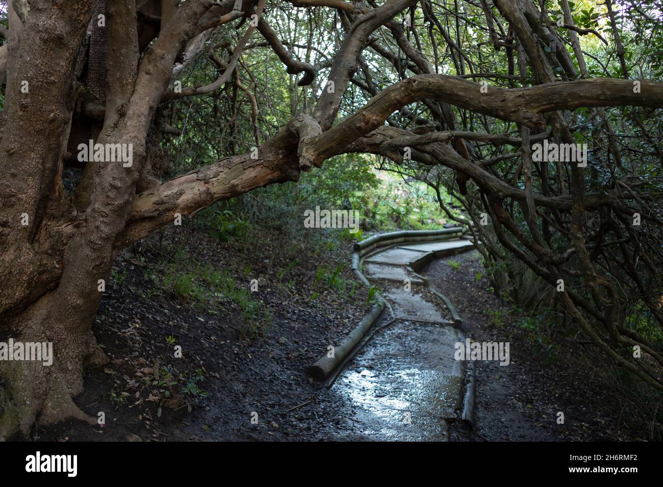 nature trail,Stanford, Western Cape, South Africa Stock Photo